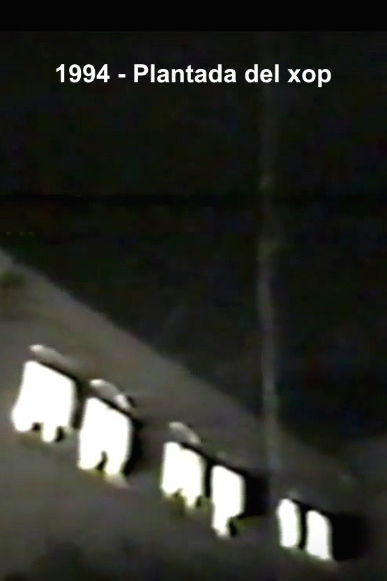 1994 - Plantada del xop